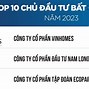 Công Ty Đấu Giá Hợp Danh Bất Động Sản Việt