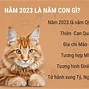 Sinh Con Tháng 1 Năm 2024 Có Tốt Không