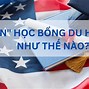 Suất Học Bổng Du Học Anh 2024 Tại Mỹ Mới Nhất